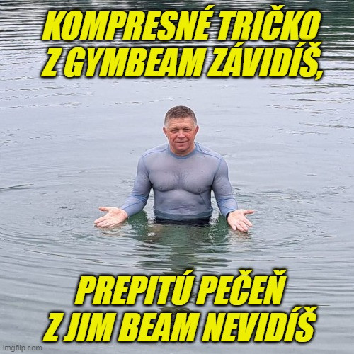 Príspevok 222275