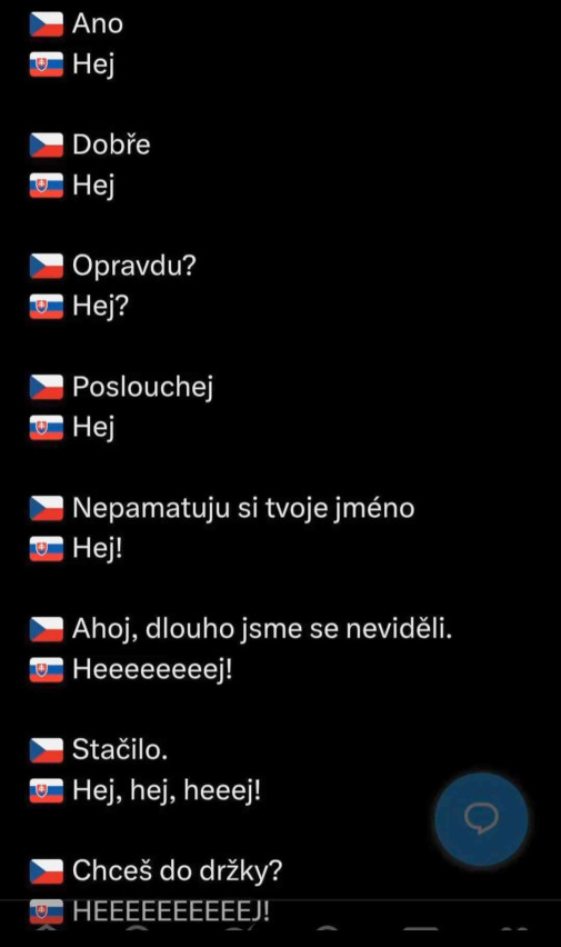 Česko-slovenský slovník